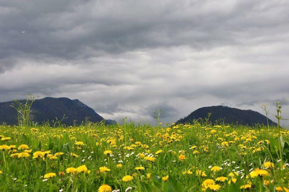 Greenheart Aussee Obersdorf Luaran gambar