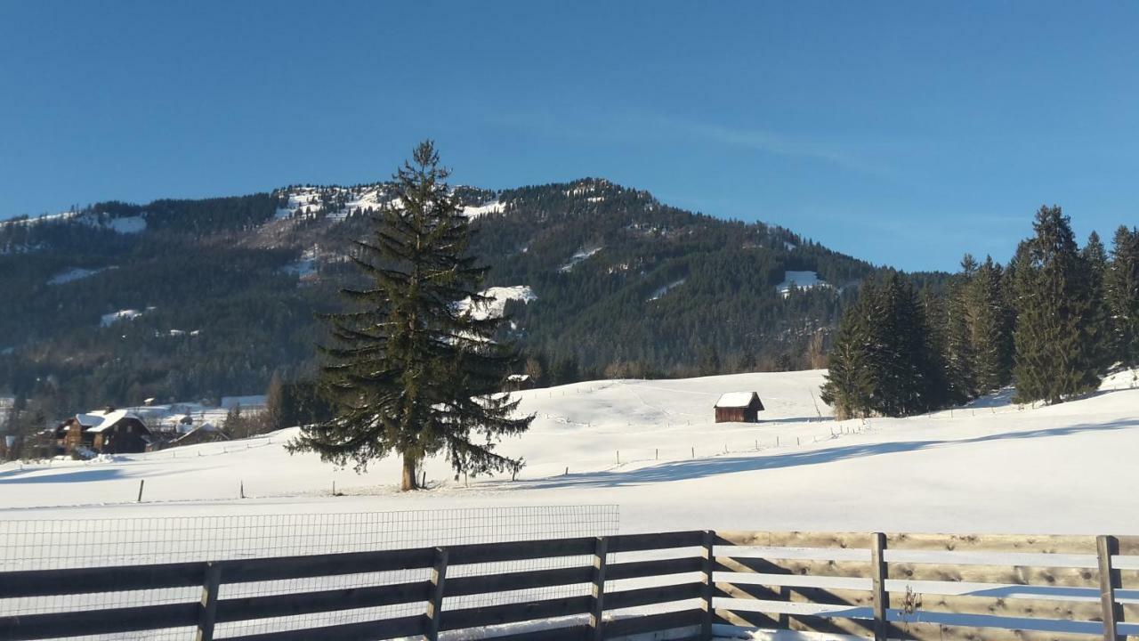 Greenheart Aussee Obersdorf Luaran gambar